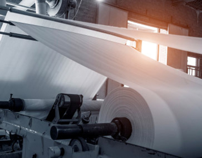Paper & Pulp
